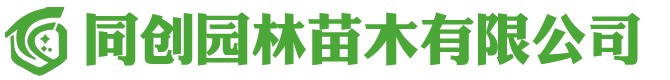 同创企业管理咨询有限公司